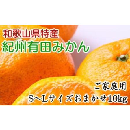 ふるさと納税 和歌山有田みかん10kg ご家庭用（S〜Lサイズおまかせ）★2023年11月中旬頃より順次発送 和歌山県有田川町