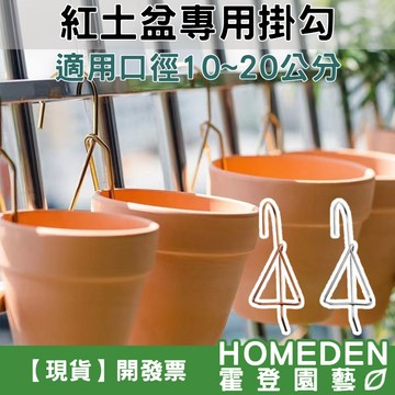 【隔日到貨】紅土盆專用掛鉤 陽台花盆掛鉤 花盆掛架 園藝掛鉤 置物架 紅陶盆花架 304不鏽鋼【HOMEDEN霍登園藝】