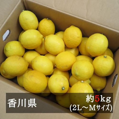 さぬきレモン 約５ｋｇ ２Ｌ-Ｍサイズ（約３０-５０個） 国産（香川県産）