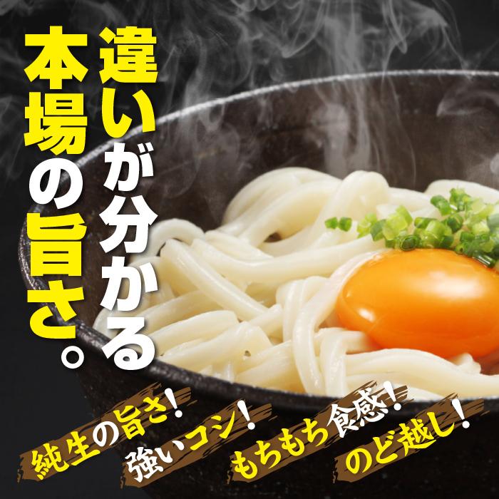 セール⇒698円 お試しセット うどん 讃岐うどん 香川県 つゆ付き 3人前 生麺 お取り寄せ 3食 3種類のつゆ 旨い もちもち お土産 送料無料 ポイント消化 送料無料