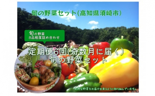 定期便 年6回 野菜 旬 セット お楽しみ 約 8品目 やさい セット 旬 春 夏 秋 冬 採れたて 新鮮 農家 直送 詰め合わせ 国産 野菜便 季節 フレッシュ 果物 フルーツ きゅうり ピーマン なす トマト ぶどう スイカ 大根 白菜 ME3000