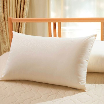 台塑生醫  物理性防蹣枕(2入)