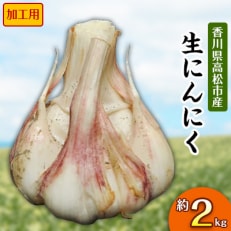 加工用　生にんにく 約2kg