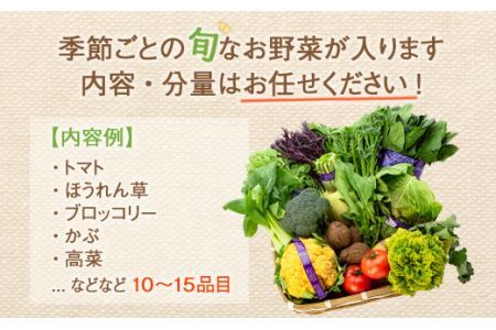 四季を味わえる「鎌倉いちばブランド」新鮮お野菜詰め合わせセット