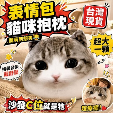 台灣出貨 妙脆角貓咪抱枕 脆角小貓毛絨公仔 OMG梗圖玩偶 搞笑療癒靠枕 宿舍床頭 生日禮物 交換禮物 貓咪娃娃 禮物