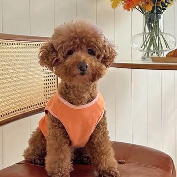 舒柔比比衣(杏桃)_Bebe4系列_S-6L,FB 柔軟彈性 /牽繩洞設計