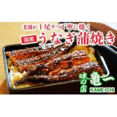 ふるさと納税 愛南町 老舗亀一の手焼きうなぎ蒲焼白焼(約120g×2本)