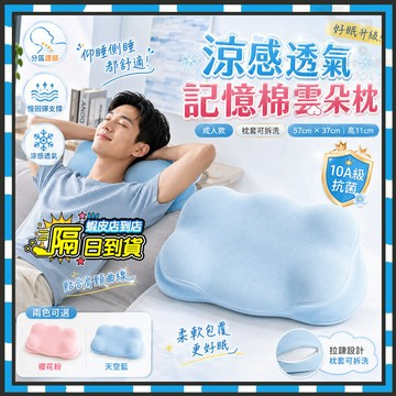 台灣隔日達 成人款 記憶棉雲朵枕 記憶棉護頸枕 透氣抗菌立體枕 慢回彈記憶棉枕 人體工學枕 可拆洗 頸椎枕 午睡枕學生枕