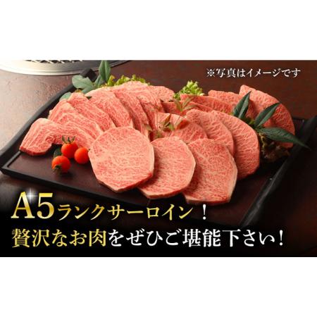 ふるさと納税 長崎和牛 A5 特選 サーロイン ステーキ 4枚 1kg 回[DBJ016]  長崎 小値賀 牛 牛肉 黒毛和牛 焼肉 等.. 長崎県小値賀町