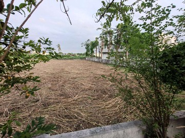 高雄岡山都市計畫區內1925坪平坦農地｜高雄市岡山區灣裡段