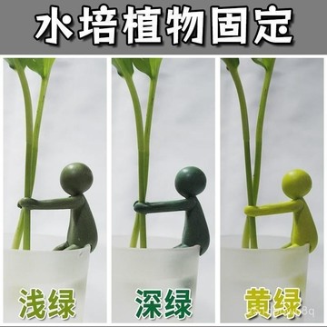 🔥臺灣出貨🔥新款水培植物生長伴侶水培器皿扶正扶枝桌麵裝飾固定造型防倒伏葉hhfoofasd123
