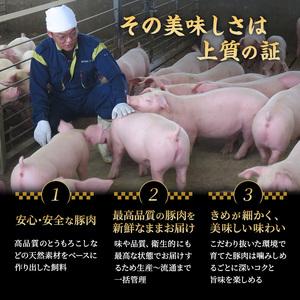 ふるさと納税 もちぶた館オリジナル 和豚もちぶた キーマカレー 200g×3箱 宮城県大河原町