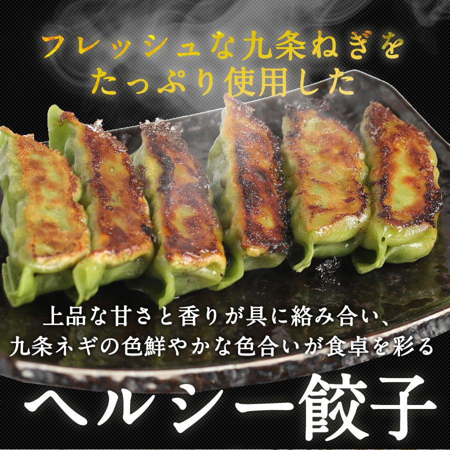 餃子 取り寄せ 送料無料 業務用 冷凍 生餃子 国産素材 時短 お手軽 簡単 大容量 餃子計画 緑皮九条ねぎ餃子100個入り