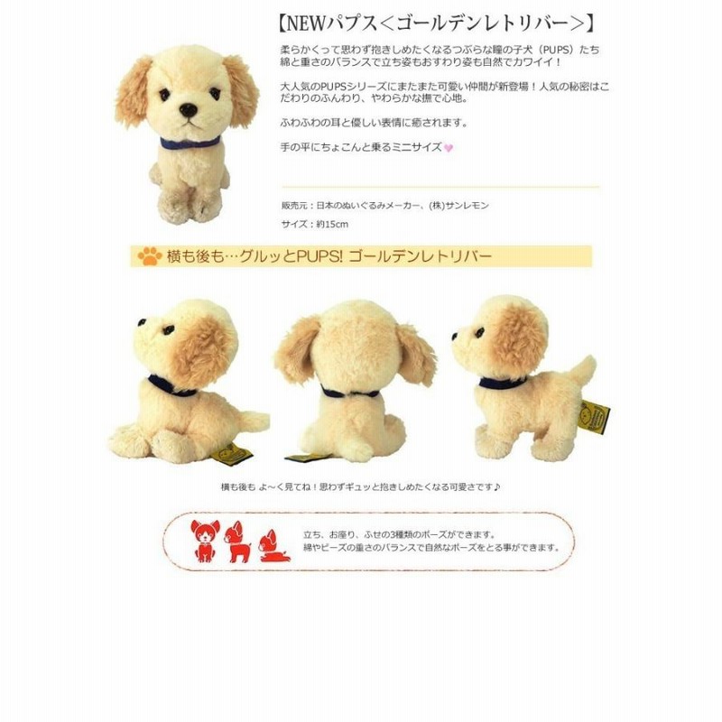 εïз の〜んびり限定品❗️超レアパネル合格祈願ポメラニアンお守り片面11枚 警固神社 お守り】おまもり 今益守り 3000円（いまますまもり