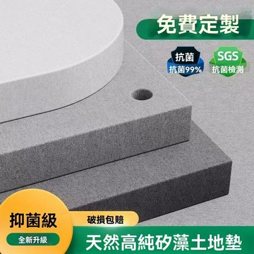 【台灣現貨】新款硬硅藻泥地墊 硅藻泥地墊 浴室地墊 廁所門口地墊 吸水地墊 地墊 浴室防滑 浴室腳踏墊 防滑墊 速乾地墊