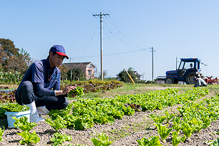 佐賀産季節の旬野菜10種類とドレッシング：B016-039