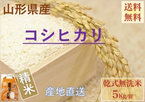 山形県産精米 乾式無洗米 ５Kｇ 袋