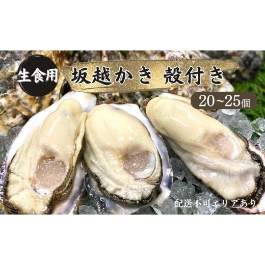 ふるさと納税 兵庫県 赤穂市 牡蠣 生食用 坂越かき 殻付き 20〜25個[ 生牡蠣 真牡蠣 かき カキ 冬牡蠣