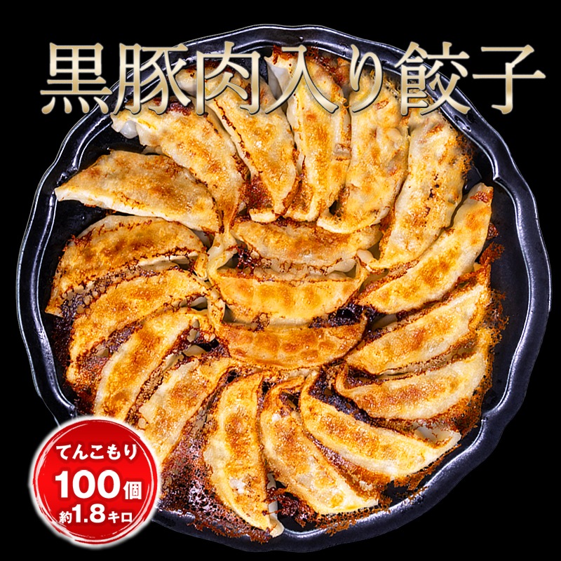 月間70万個完売 黒豚肉入り餃子100個 1.8キロ 一龍堂 餃子 ぎょうざ ギョウザ ギョーザ 生餃子 冷凍餃子 冷凍生餃子 大人気冷凍食品 国産 簡単 時短 食品 惣菜 中華惣菜