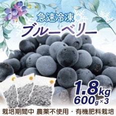 急速冷凍ブルーベリー600g×3パック　計1.8kg