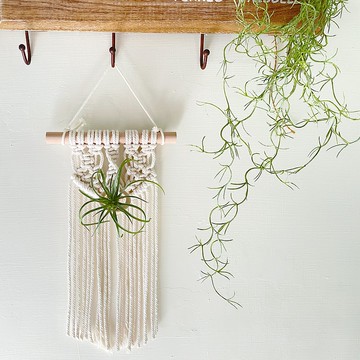 Macrame小木圈掛毯掛飾【Macrame Wall Hanging】空鳳|乾燥花
