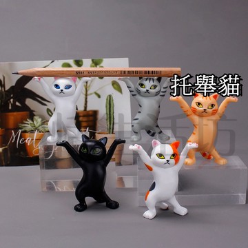【現貨】微景觀/托舉貓/貓咪/妖嬈貓/園藝裝飾/桌面裝飾/蛋糕裝飾/酒櫃裝飾/多肉盆栽裝飾/花臉貓/跳舞貓/筆托