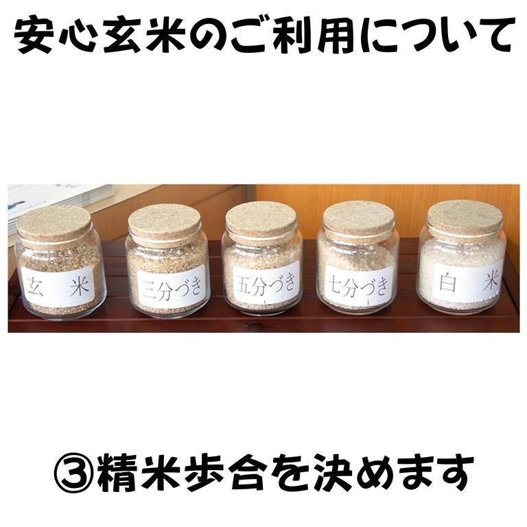 新米令和5年産 仁多米『大峠源流米』玄米1kg　島根県仁多郡奥出雲町大馬木大峠　◎1kg単位での小分け精米無料・分づき米対応◎受注後に計量・精米