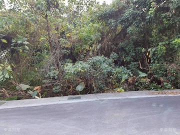 南投國中旁建地+綠地｜南投縣南投市牛運堀段