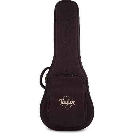 Taylor GS Mini Aero Case Chocolate Brown 並行輸入品