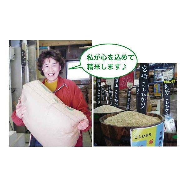 鹿児島コシヒカリ 玄米  5kg 令和5年産