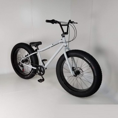 品数豊富！ 【専用商品】FATBIKE 26インチ モンスターフット ファット