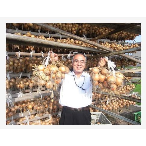 玉ねぎの皮 粉末 100g 国産 巣鴨のお茶屋さん 山年園