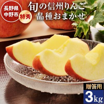 ふるさと納税 中野市 ご贈答向け 信州りんご特秀3kg