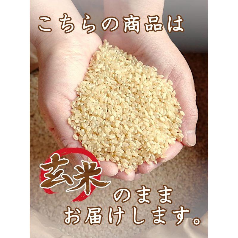 新米玄米 信州産 こしひかり 20kg（5kg×4） 令和5年産 米 お米 コメ 長野県 信州ファーム荻原