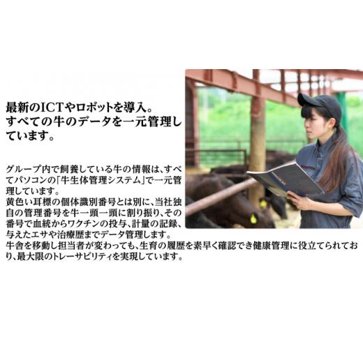 ふるさと納税 北海道 佐呂間町 サロマ和牛 ヒレ 1頭分 薄切りスライス 約200g×30P前後 北海道 オホーツク 佐呂間町 肉 牛肉 和牛 ヒレ肉