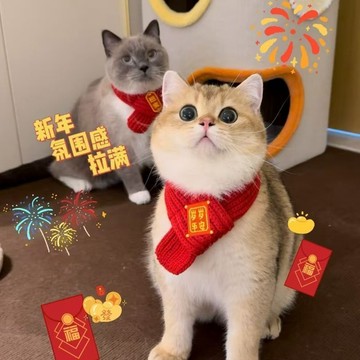 🥇臺灣熱賣🥇貓咪狗狗圍脖新年寵物配飾裝飾圍巾紅色可愛毛線保暖針織貓咪圍脖