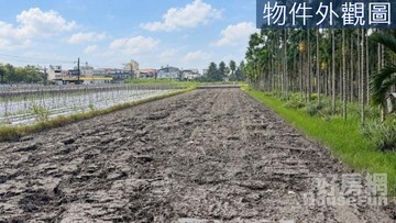 美濃中壇段近市區方正農地｜378坪低總價好入｜高雄市美濃區中壇段