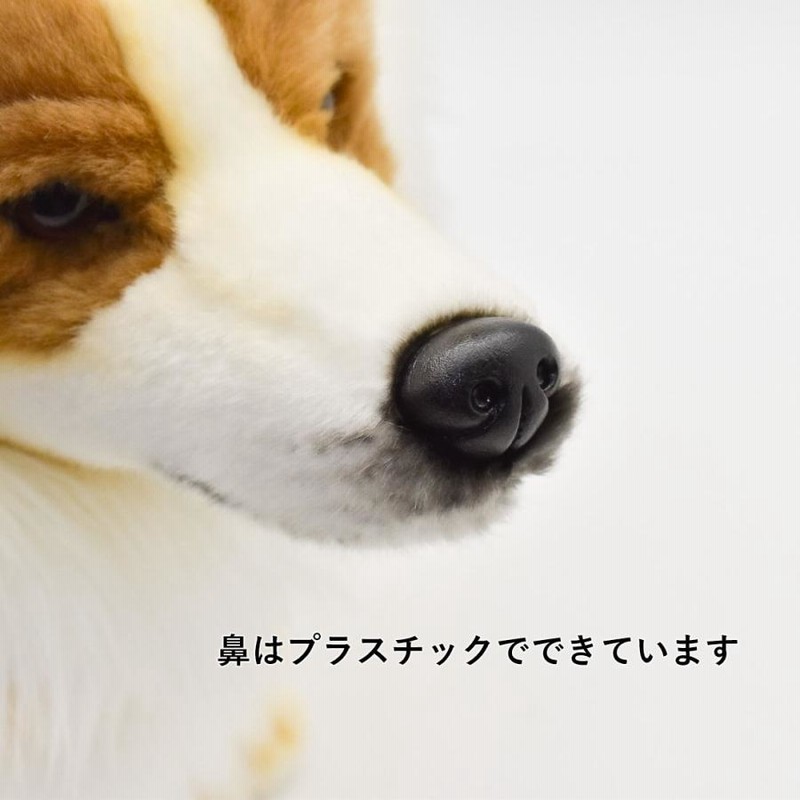 HANSA（ぬいぐるみ） BH6686 ウェルシュコーギー HANSA うぇる