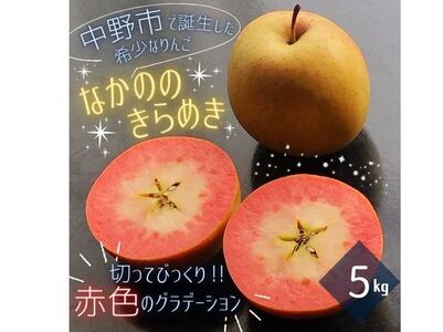 なかののきらめき 家庭用 ５ｋｇ