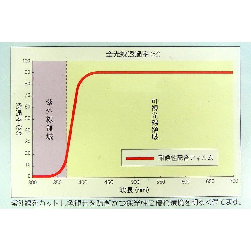 菱興プラスチック 糸入り透明シート (ハトメ穴有り・ひも付) 約1.8m×3.6m