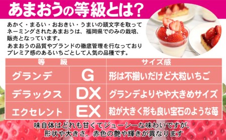 あまおう DX等級以上 約300g×2パック ※配送不可：北海道・東北・沖縄・離島