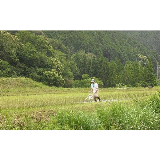 ふるさと納税 高知県 黒潮町 ［0509］特別栽培メダカ米(玄米)10kg