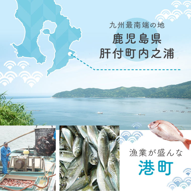 魚屋さんの選んだ新鮮お魚詰め合わせ