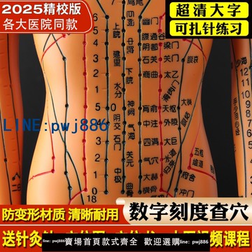 【便宜有好貨】25年新版中醫針灸穴位人體模型可扎針十二經絡圖銅穴位全身小皮人