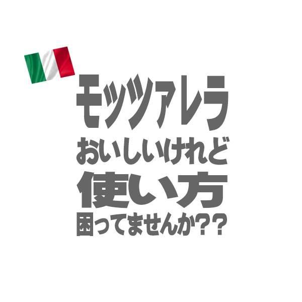 (冷凍チーズ) マリン クッキング モッツァレラ 業務用 ３１５g １０本入×２セット