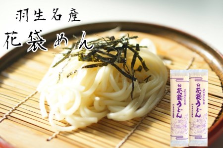 明治六年創業　武州羽生名産　「花袋うどん」　40人前(200g×20入)