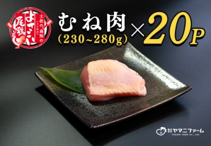 よさこい尾鶏 むね肉 (230～280ｇ)×20パック