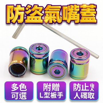 防盜氣嘴蓋 防盜金屬氣嘴蓋