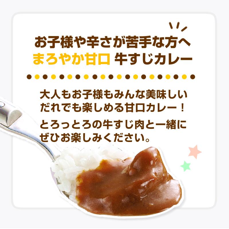 甘口新登場 甘口 牛すじ カレー 180ｇ x 3パック レトルト カレー