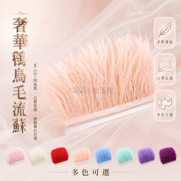 桃園出貨✨ 裝飾羽毛流蘇鸵鳥毛布邊 禮服裙邊飾品 手工製作材料 舞台服裝輔料 8-10cm寬度 1米長度